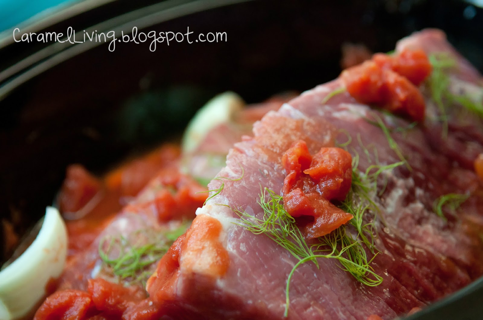 Caramel Living Tomato Dill Pot Roast