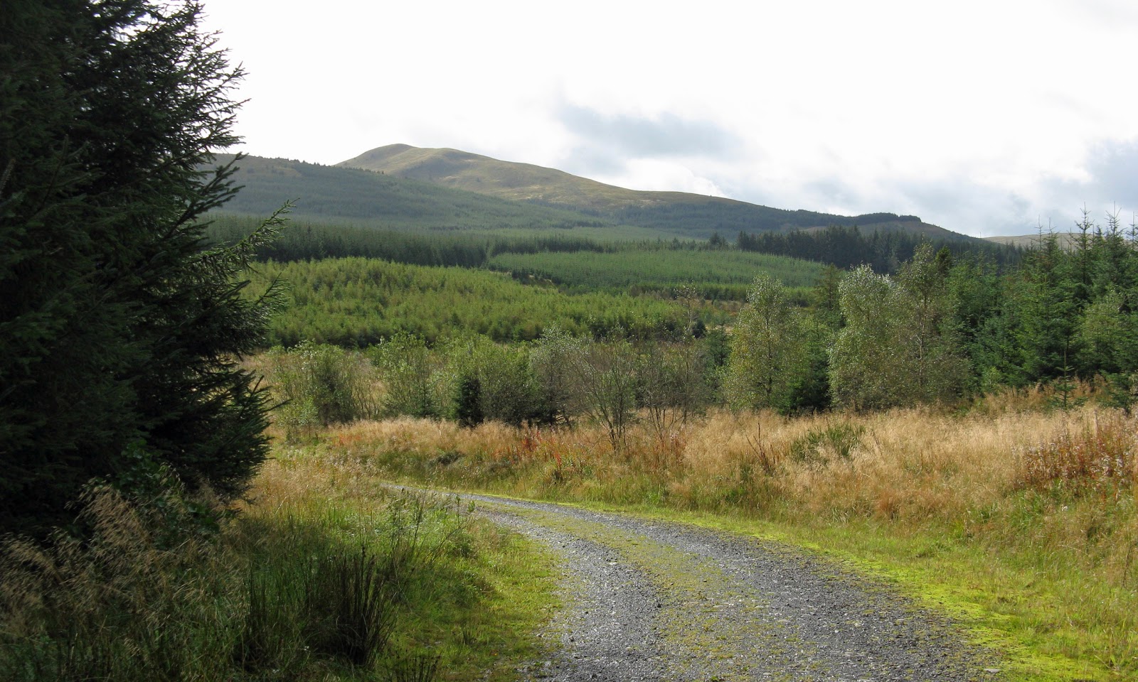 Neil's Hillwalking Exploits Meikle Bin