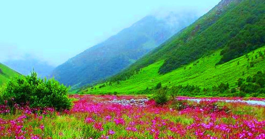 VALLEY OF FLOWERS Uttarakhand simply heaven VALLEY OF FLOWER