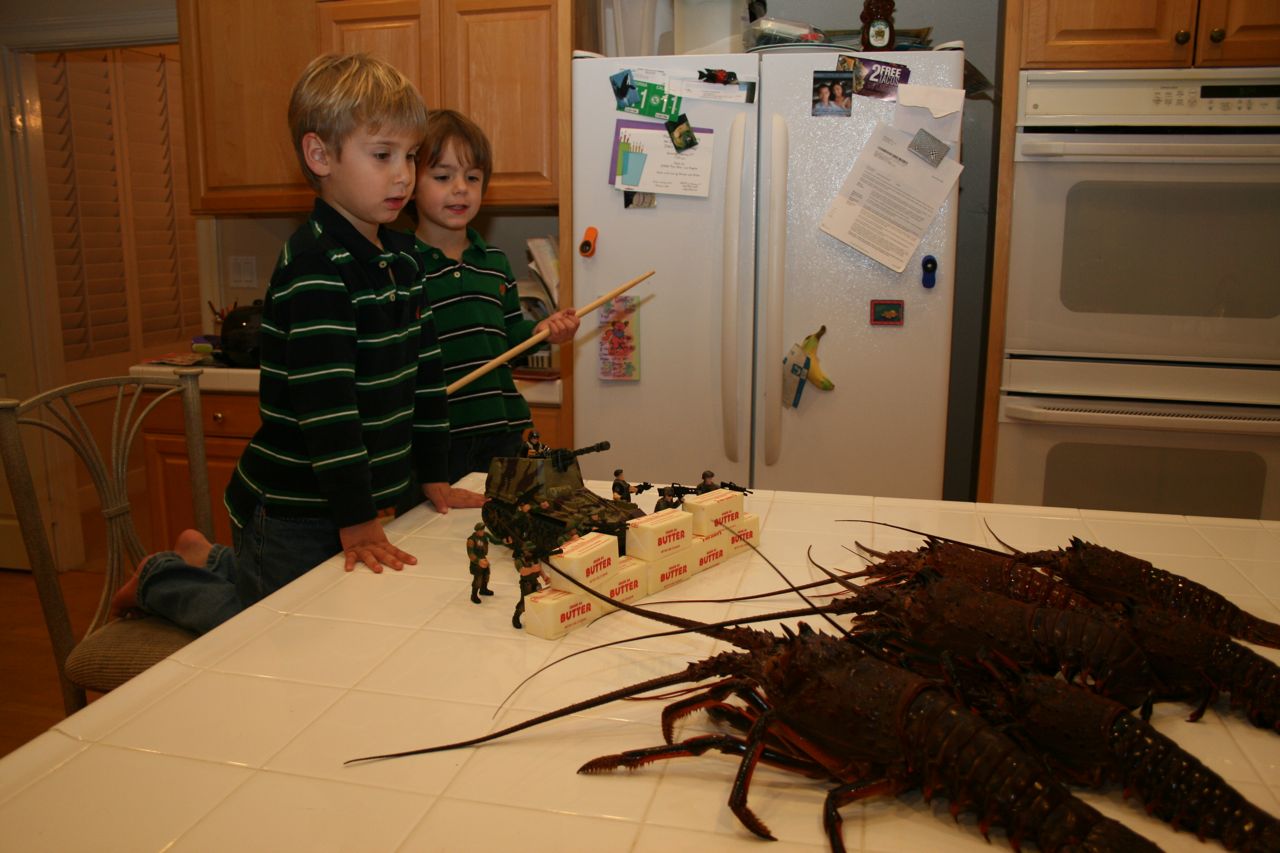 Schmitt Creek February 2012