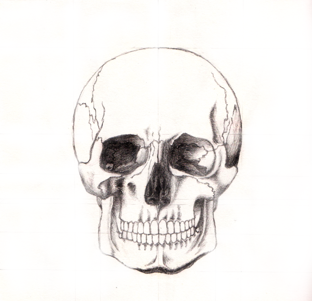 What is the best online drawing course? - Quora