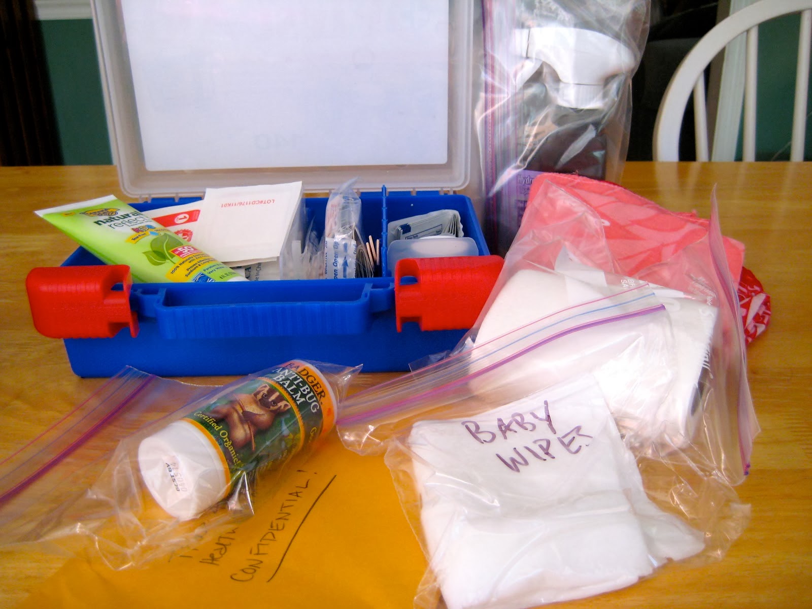 Troop Leader Mom Getting Started with Girl Scout Daisies, Brownies