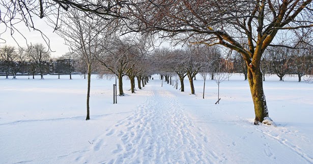 Winter season essay in english for class 9 picture