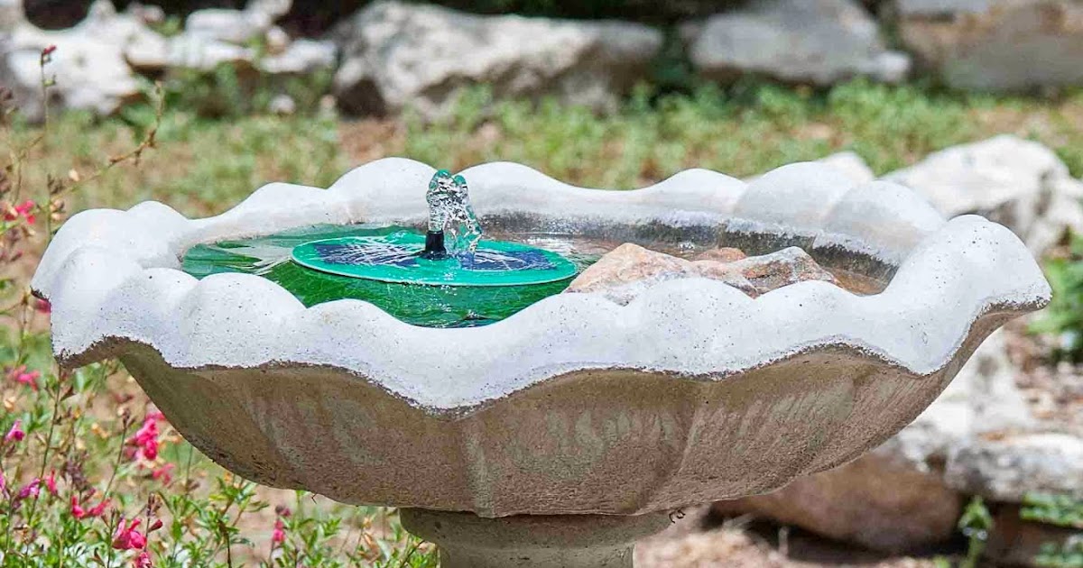 Window on a Texas Wildscape More on bird baths