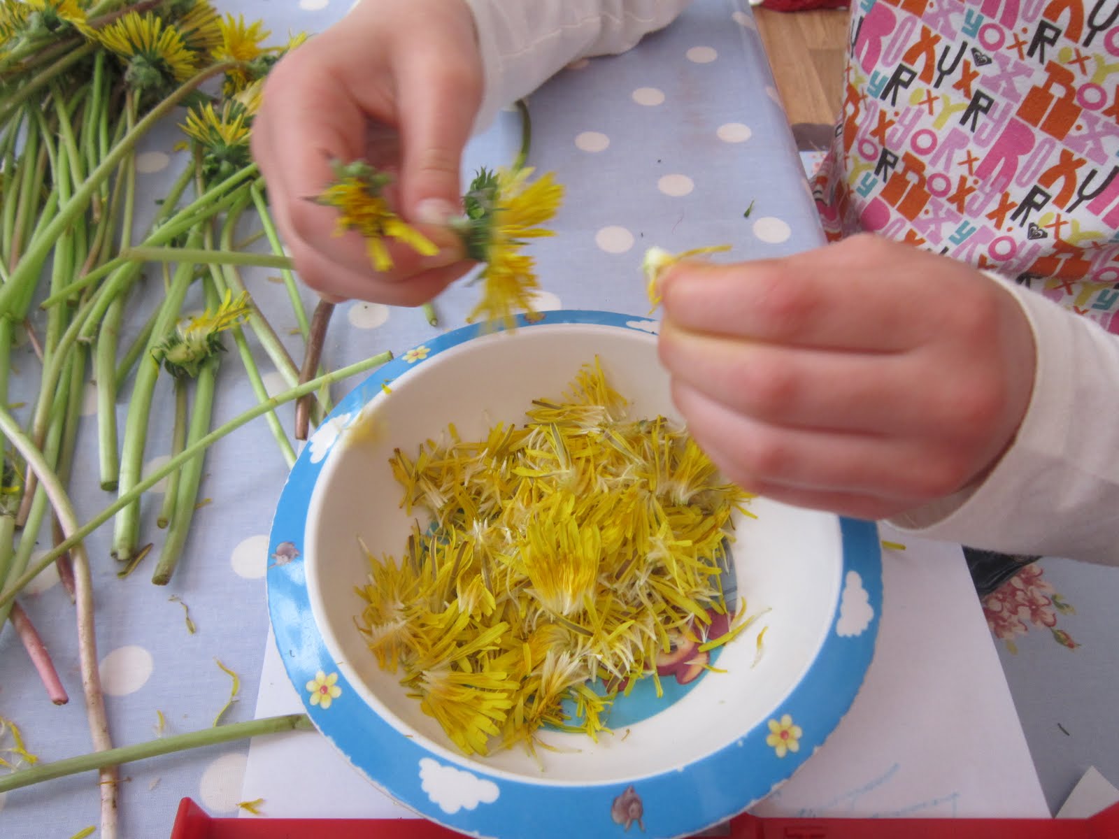 4 kids, 2 guinea pigs one happy family Dandelion juice and Amber Nectar