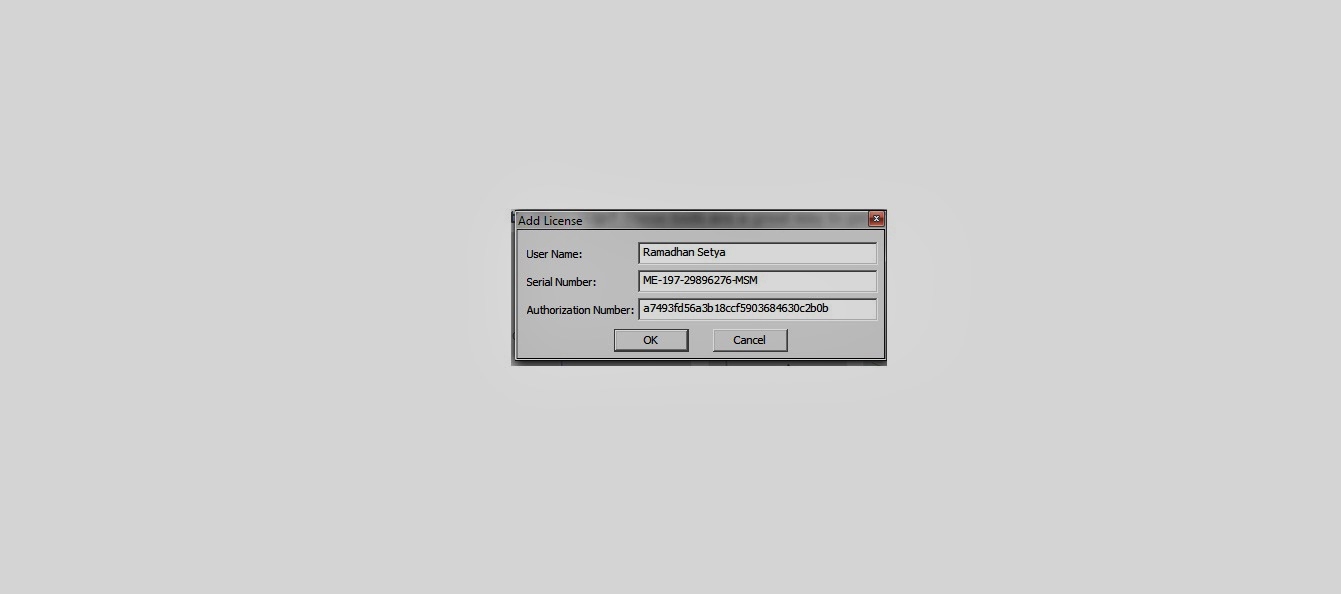 sketchup 2013 serial number authorization number
