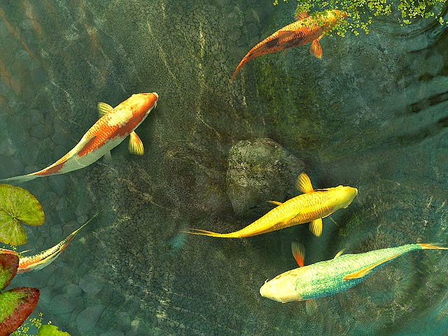 Wallpaper Bergerak Ikan Koi | gambar ikan koi animasi bergerak gambar animasi ikan koi Wallpaper Bergerak Ikan Koi | gambar ikan koi animasi bergerak gambar animasi ikan koi