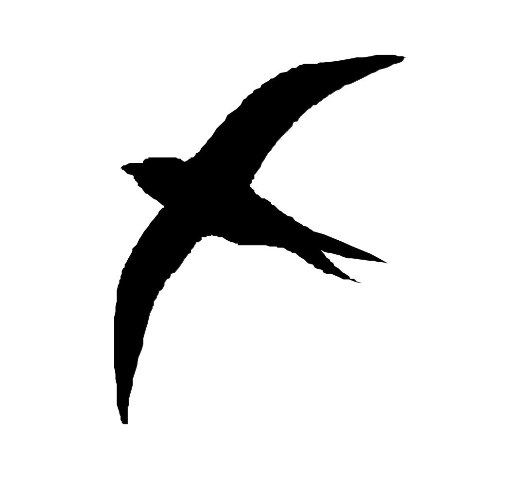 CASCARÚ DECORACIÓN: Proyecto: "Casa de los Pájaros"