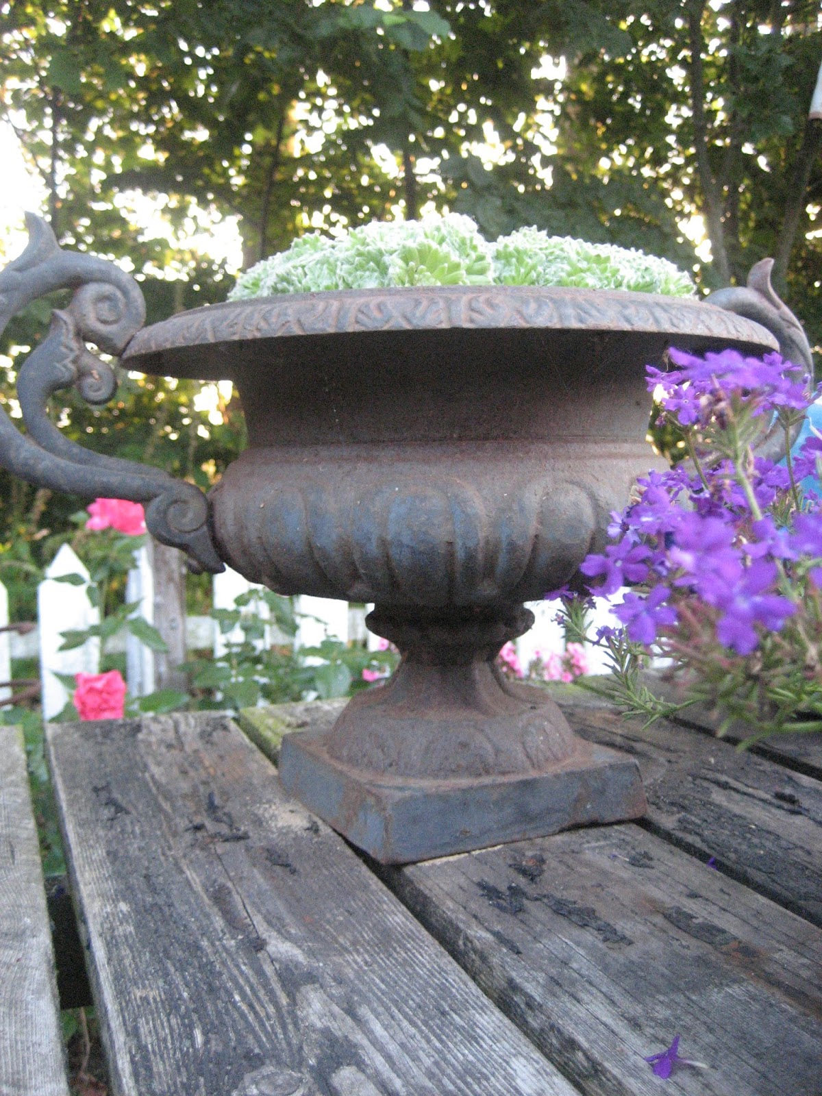 Fru pedersens have: nemme krukker.