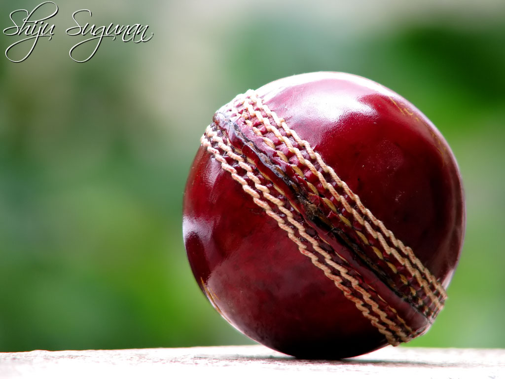google cricket ball google cricket ball