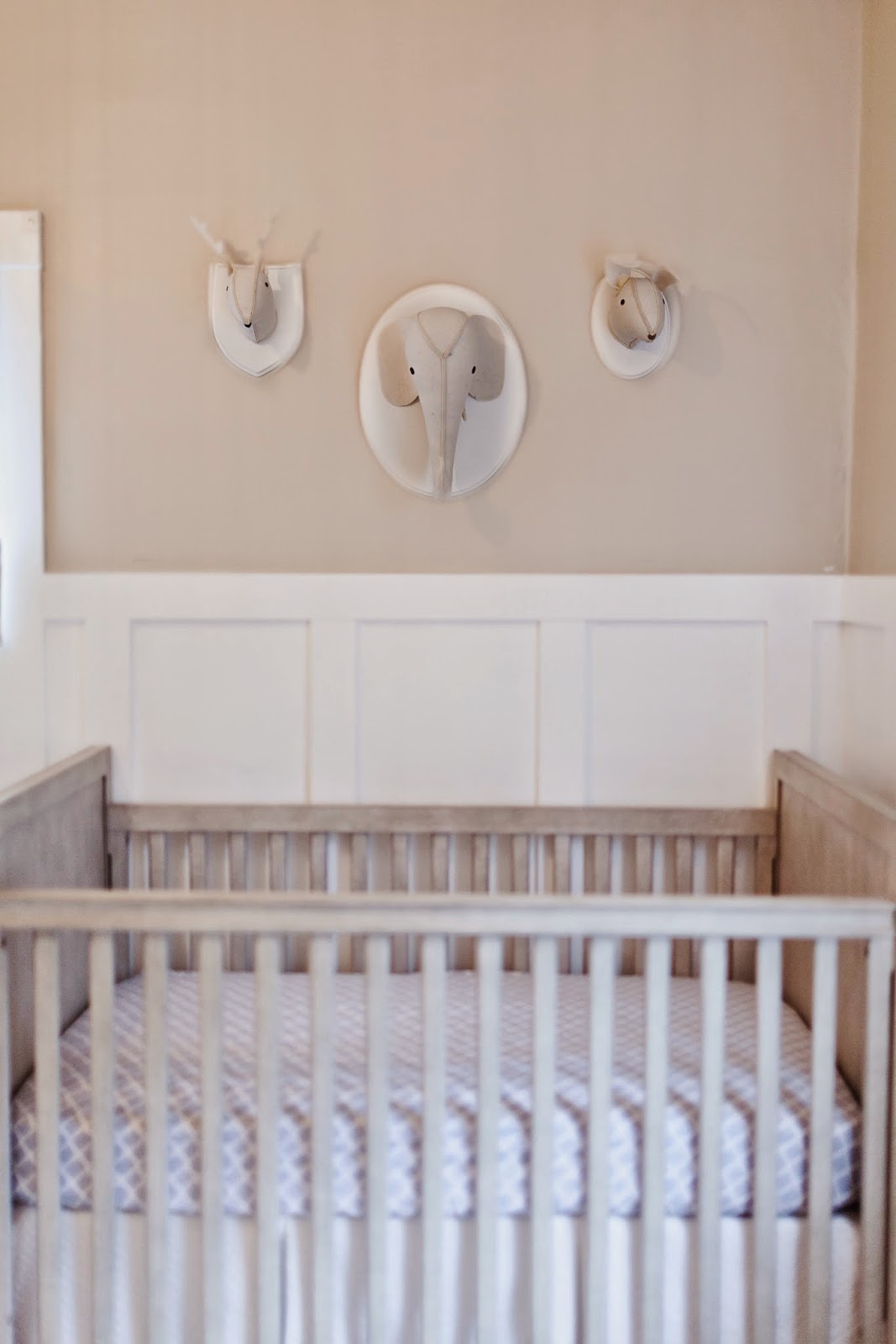 Lady of the HOUSE Interior Design Carter Harp's Nursery