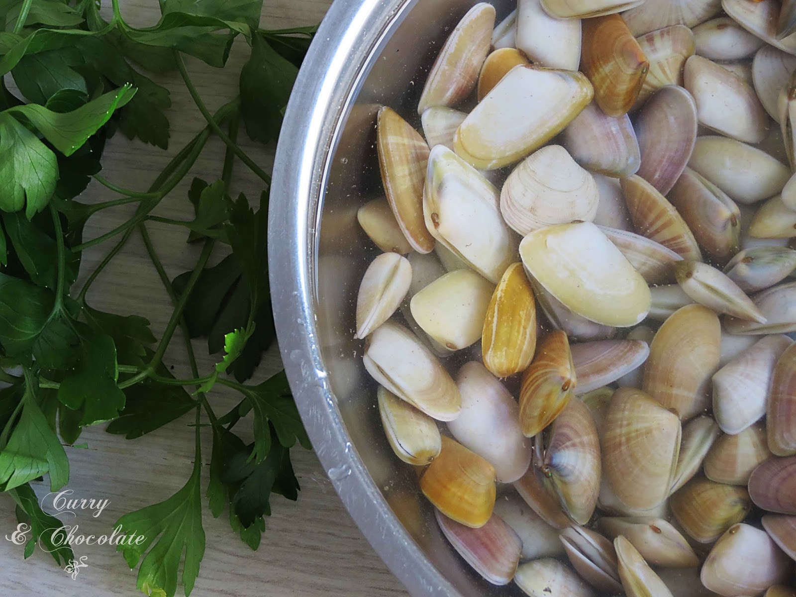 Coquinas al coñac o brandy – Wedge shell clams with brandy Coquinas al coñac o brandy – Wedge shell clams with brandy