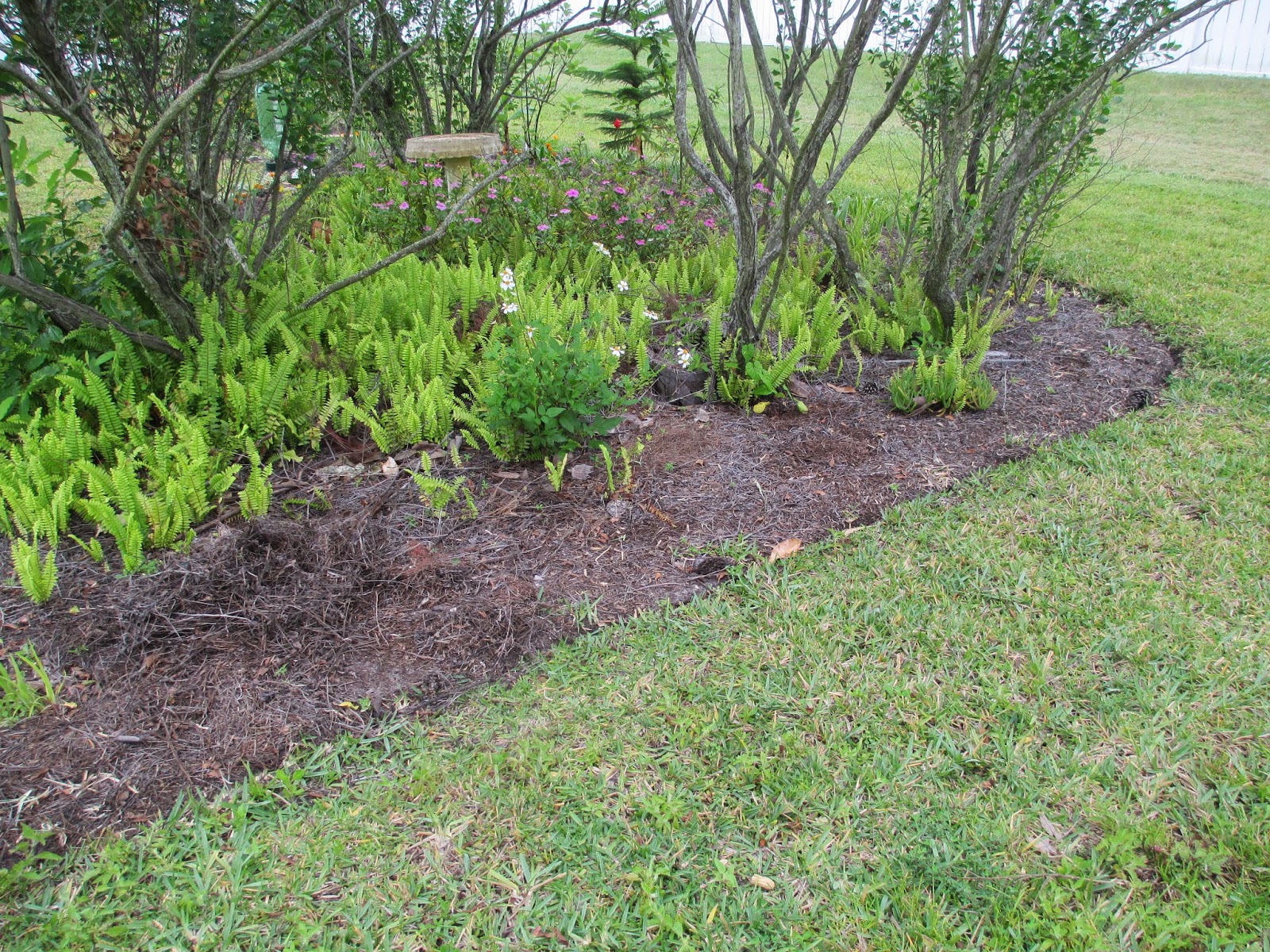 Maple Hill 101 The Maple Hill Hop 28