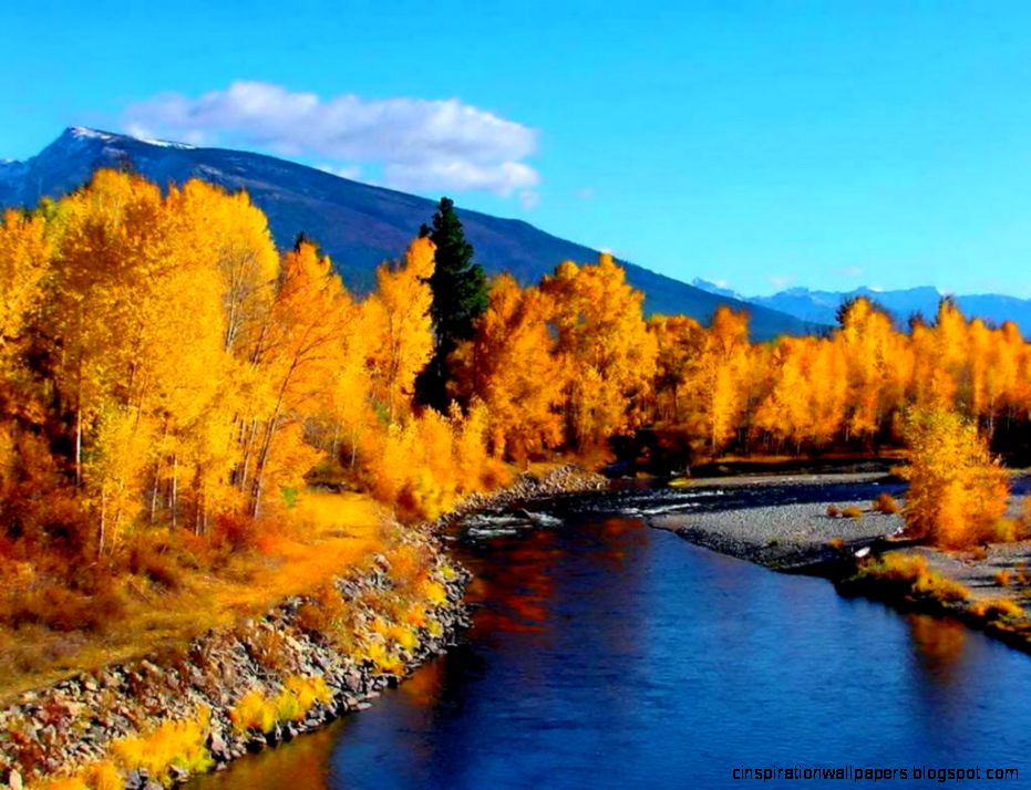 Fall Mountain Trees Fall Mountain Trees