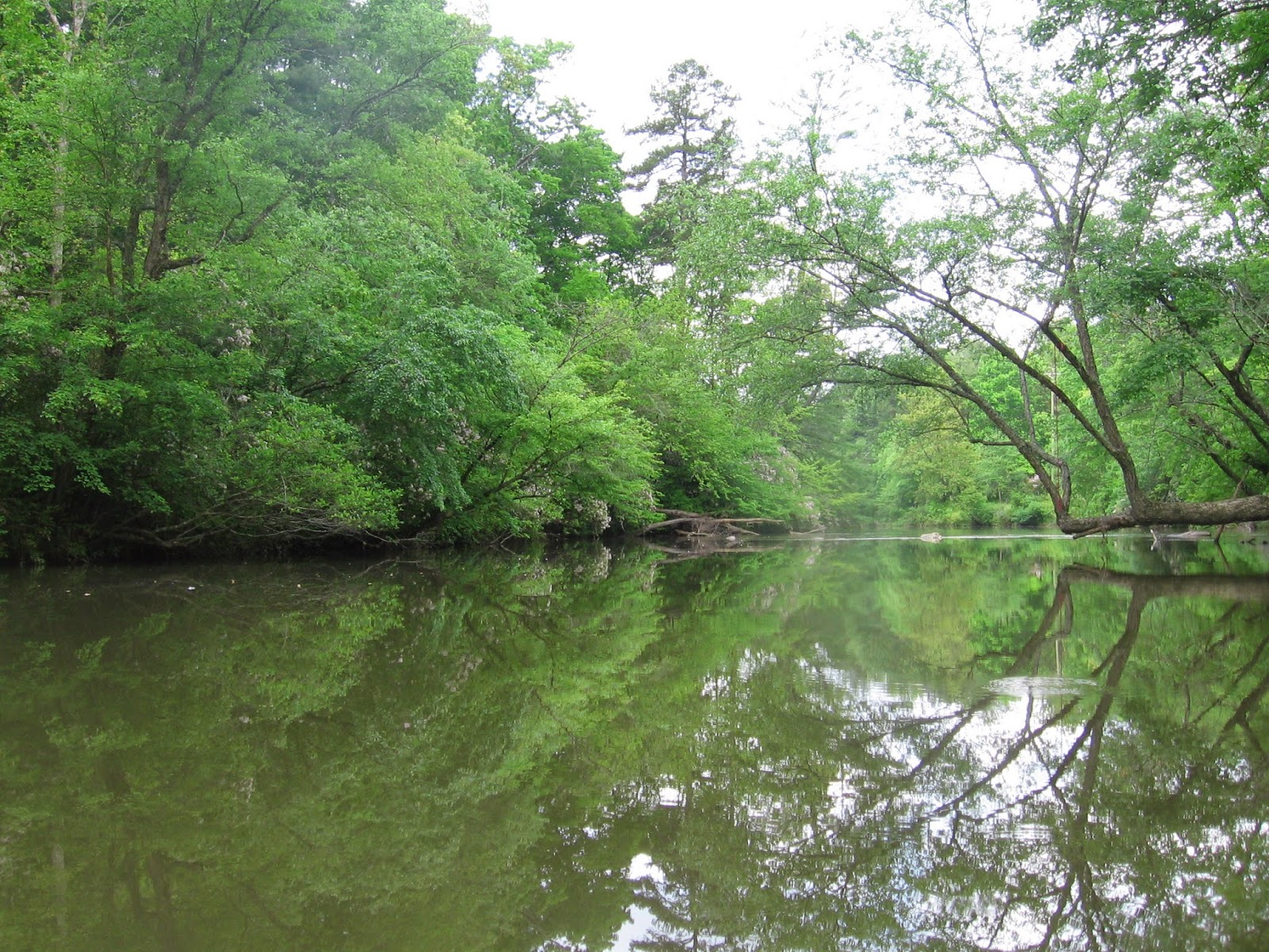 Soquee River Days Beautiful photos of the Soque