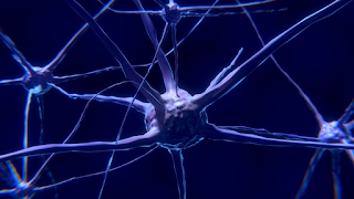 Descoberta da UFRJ traz nova esperança contra o Alzheimer