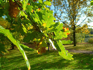 Indextrader24 Com November 2013