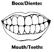 Partes del cuerpo para colorear Ingles-Español boca dientes colorear ingles espaã±ol