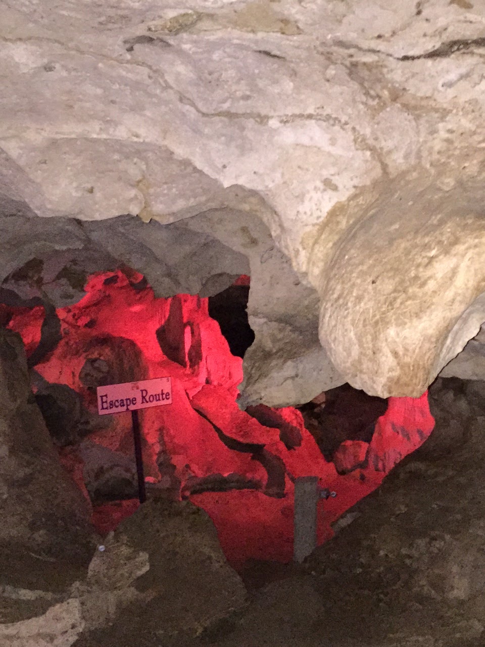 Bats, Bond, and Pirates Green Grotto Caves, Jamaica Cosmos Mariners