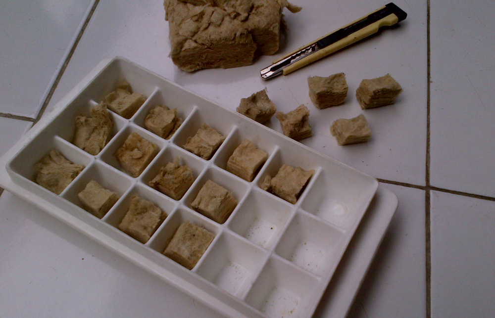 Bacalah ﺇقرا Anggur Hidroponik