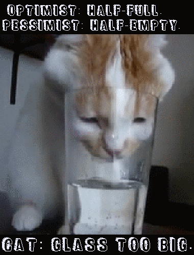 optimist-glass-is-half-full-pessimist-glass-half-empty-cat-glass-is-too-big.gif