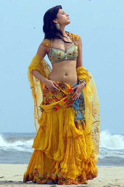 Actress Shruthi Hassan Navel Show Photos