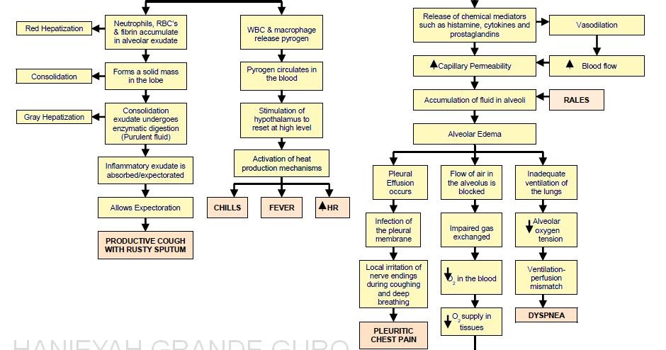 nursing case study bph