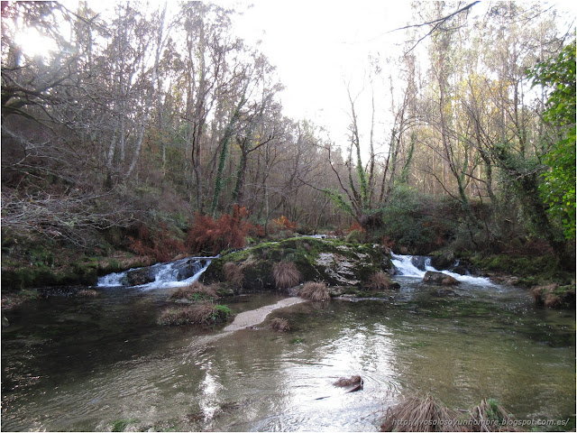 saltito de agua saltito de agua