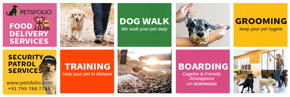 Petsfolio - Dog Walking, Training, Grooming, food delivery, patrol security and Boarding Services 