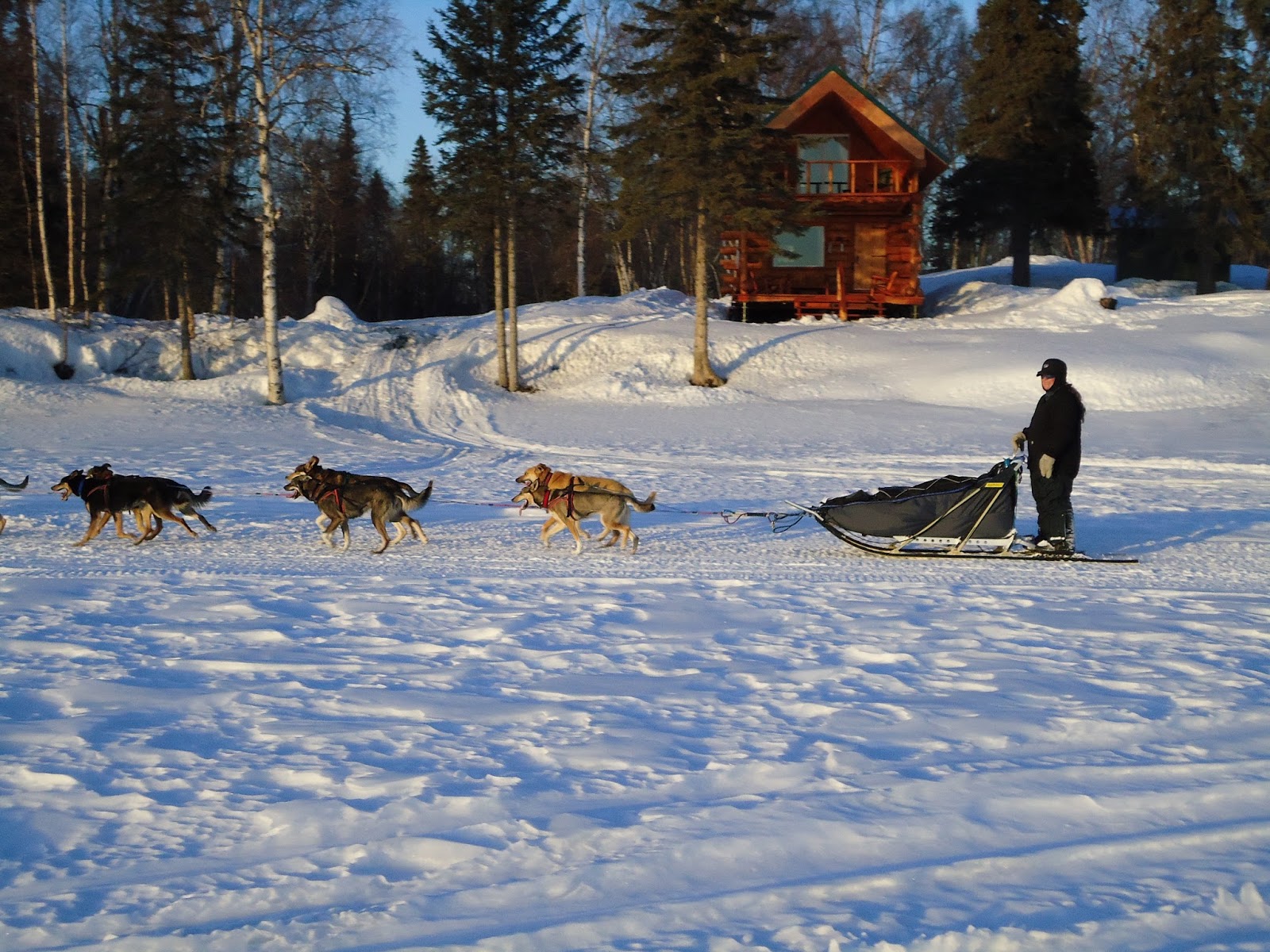 Alaska Bush Life, OffRoad, OffGrid Reality Check of Alaska Reality