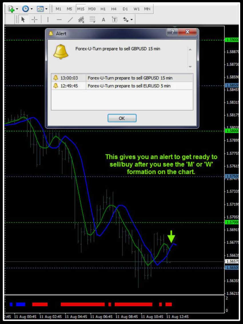 system forex course trading kevin