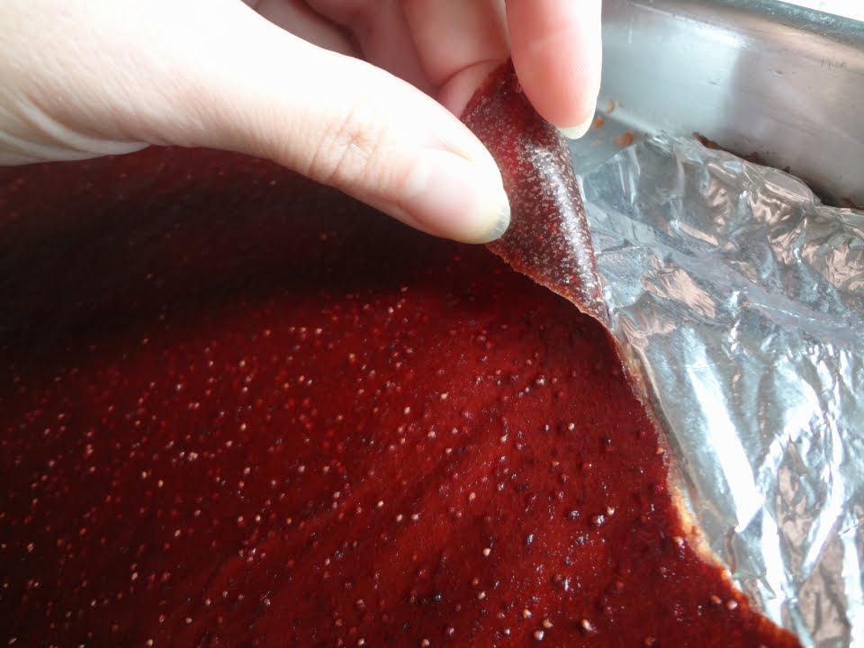 The Stockpot Overnight Oven Fruit Leather