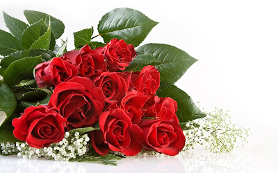 Bunch of red roses hd wallpapers widescreen best roses desktop wallpapers