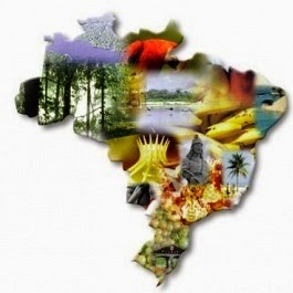 Desenvolvimento Local no Brasil