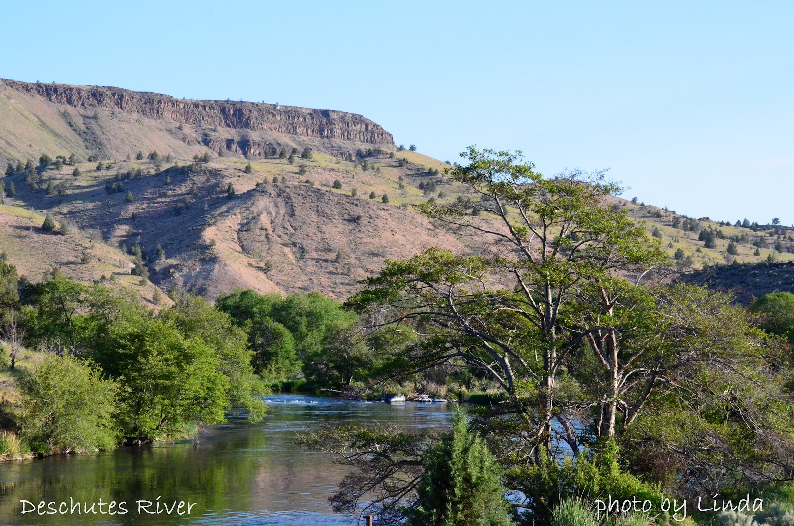 Oregon through my eyes Deschutes River and Trout Creek near Gateway, Oregon