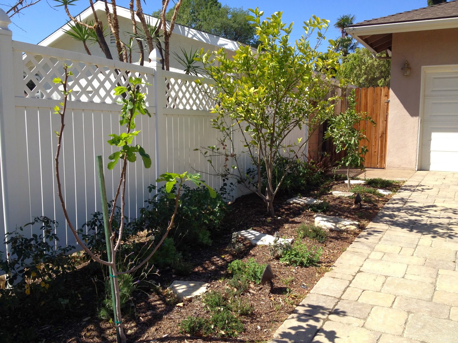How Does My Garden Grow? Front Yard Fruit Trees Spring Blossoms