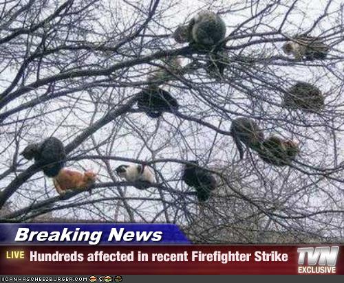 Funny News Bloopers: Hundreds affected in recent Firefighter strike
