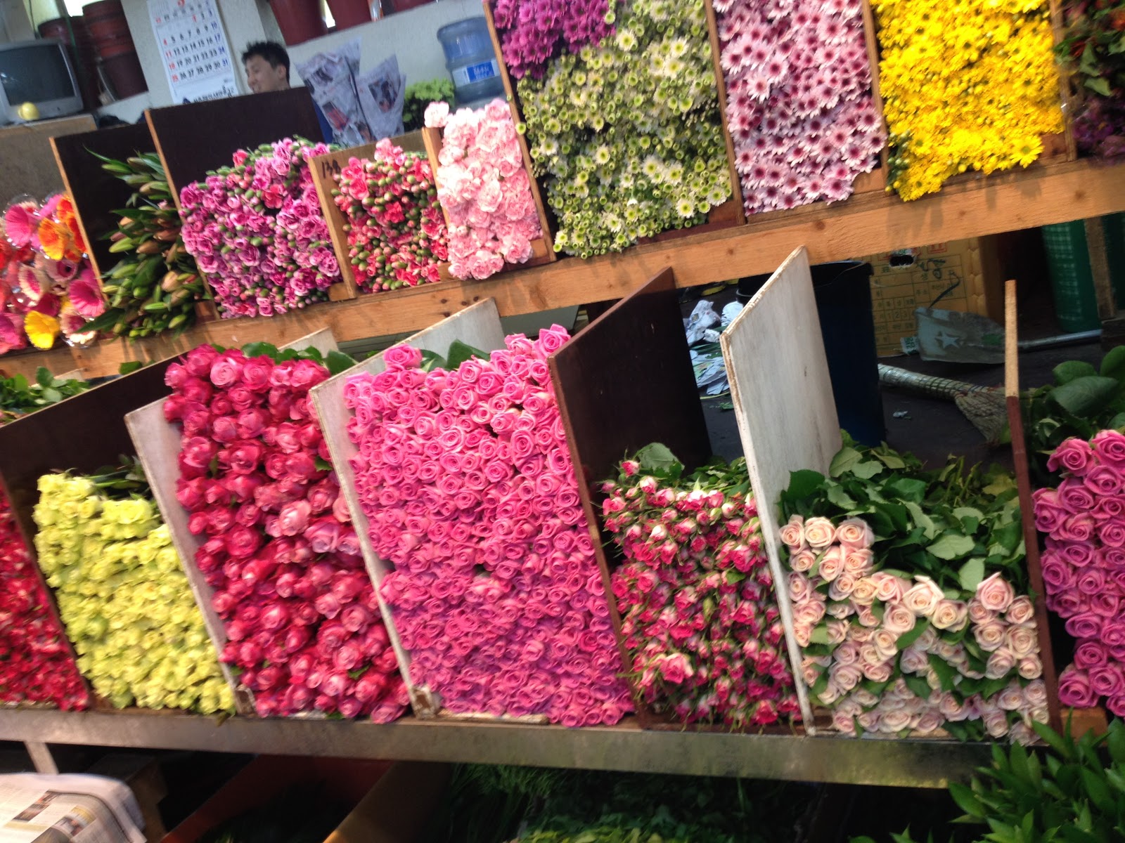 The Birds The Peas Flower Market In Namdaemun Seoul