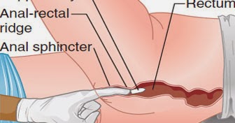 baby siitter sucking cock the hunns thumbs up