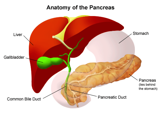 Pain Sensation: Pancreatitis Pain