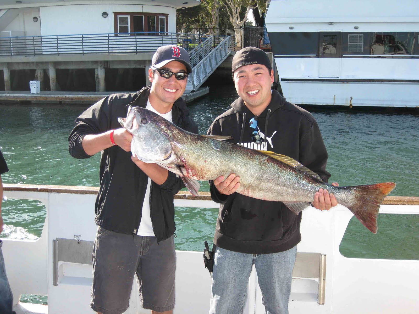 FOODjimoto White Sea Bass Sashimi