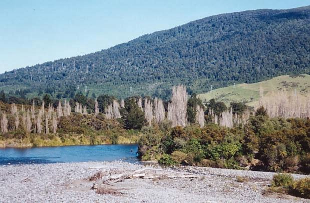 Taupo Fishing