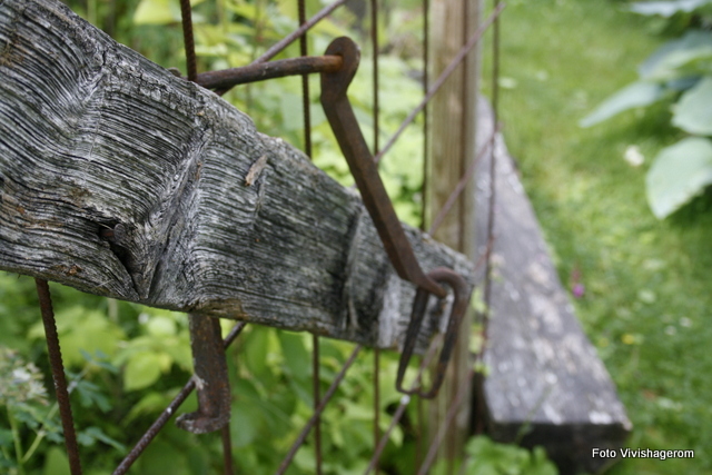 Vivishageroms hage og fotoblogg : gamle planker!