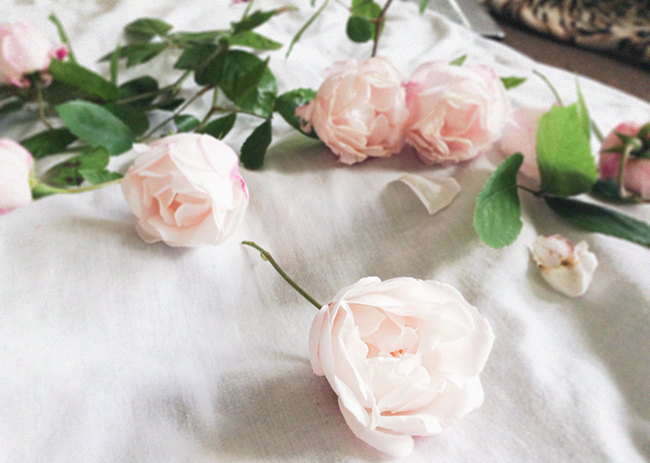 Wild Roses blog fashion blogger