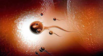 Manfaat Sperma yang Belum Kamu Ketahui