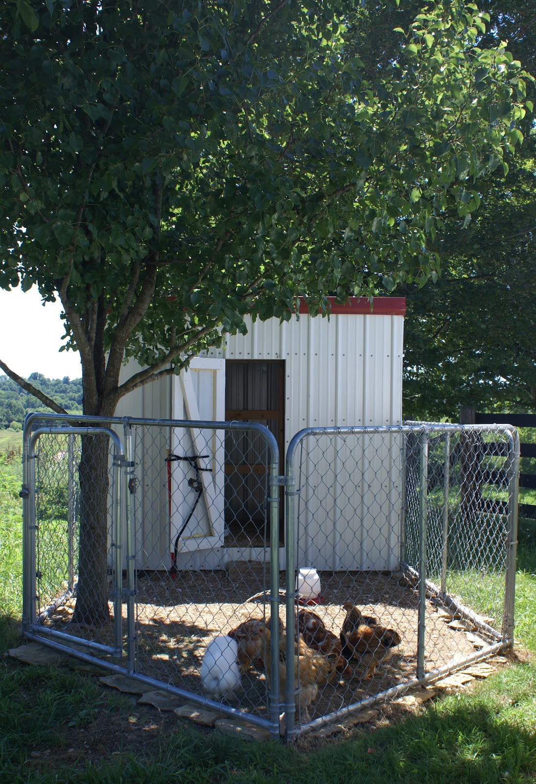 Hoodoo Hill Chicken Coops