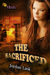 Blog Tour: The Sacrificed by Jordan Link