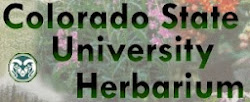 Colorado State University Herbarium