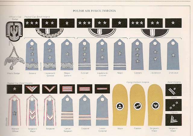 insignias y grados militares de la II GUERRA MUNDIAL