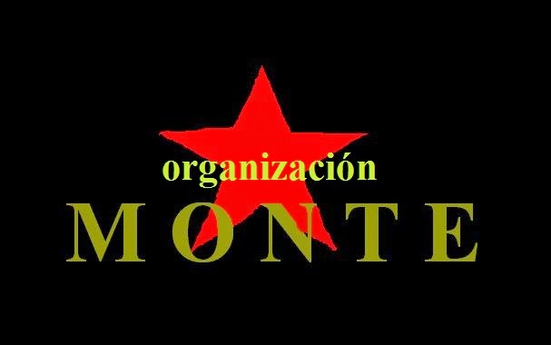 Organización Monte